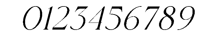 The SARGENT Serif Italic Font OTHER CHARS