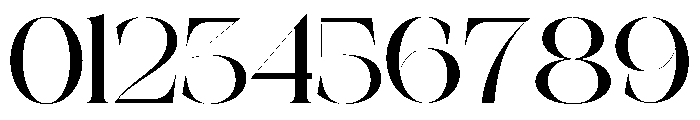 The Simple Editorial Expanded R Font OTHER CHARS