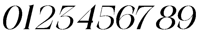 The Simple Editorial Italc Bold Font OTHER CHARS