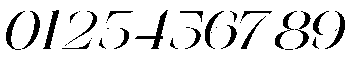 The Simple Editorial Italic Exp Font OTHER CHARS