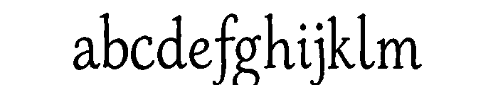 The Sunny Field Serif Regular FONT