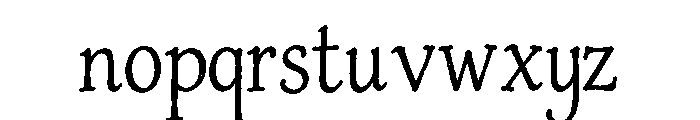 The Sunny Field Serif Regular Font LOWERCASE