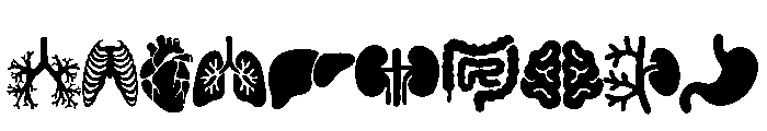 The human body Font OTHER CHARS