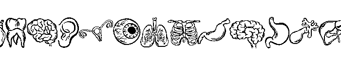 The human body Font UPPERCASE