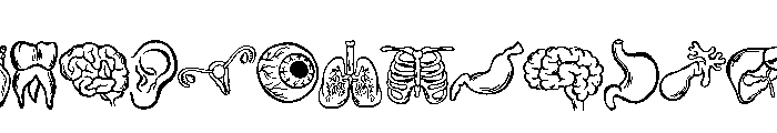 The human body FONT