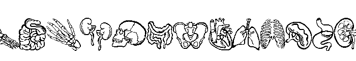 The human body Font LOWERCASE