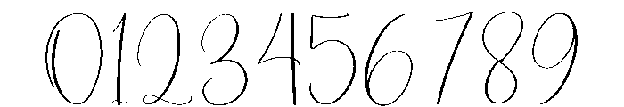 This Wedding Font OTHER CHARS