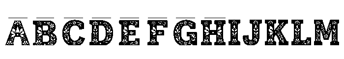 Thistle Regular FONT