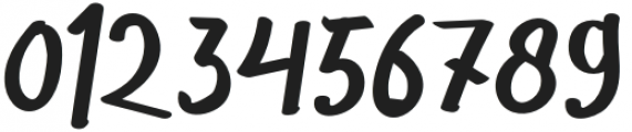 THE HOUSTER B otf (400) Font OTHER CHARS