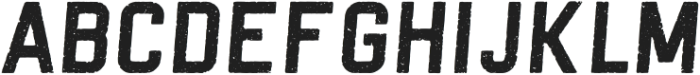 THORND Bold Italic Grunge otf (700) Font LOWERCASE