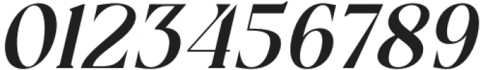 The Mondela Catalisa Serif Italic otf (400) Font OTHER CHARS