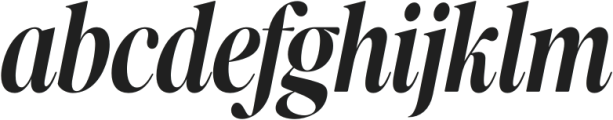 The New Elegance Condensed Italic otf (400) Font LOWERCASE