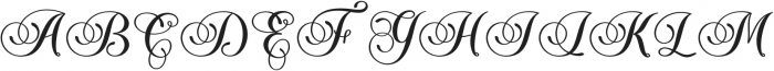 The Piraglen  Bold otf (700) Font UPPERCASE