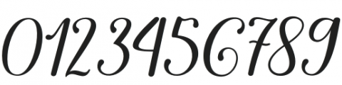 The Piraglen  Italic otf (400) Font OTHER CHARS