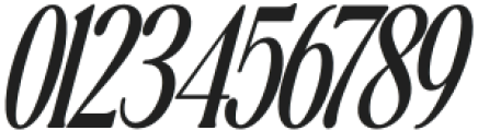 The Qualified Condensed Italic otf (400) Font OTHER CHARS