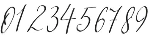 The Signature Regular otf (400) Font OTHER CHARS
