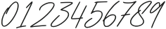 The Wedding Signature Regular otf (400) Font OTHER CHARS