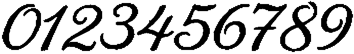 The Wild Petal Regular otf (400) Font OTHER CHARS