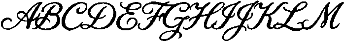 The Wild Petal Regular otf (400) Font UPPERCASE