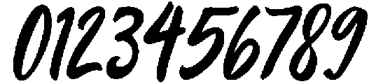 ThunderBloom-Italic otf (400) Font OTHER CHARS