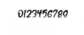 The Fox Tail Rough.otf Font OTHER CHARS