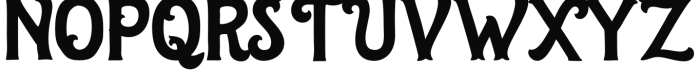 The Salvador Serif Regular Font UPPERCASE