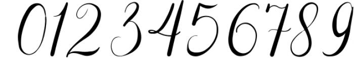 The Adelyne Script Weding Font Font OTHER CHARS