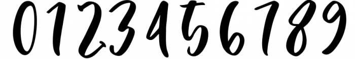 The Authentic Script Font Bundle 12 Font OTHER CHARS