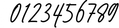 The Billion - Signature Font 1 Font OTHER CHARS