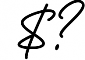 The Billion - Signature Font 1 Font OTHER CHARS