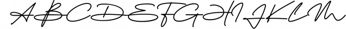 The Billion - Signature Font 1 Font UPPERCASE