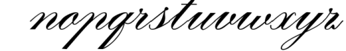 The Donya Script 1 Font LOWERCASE