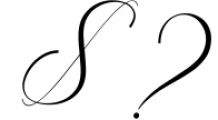 The Donya Script Font OTHER CHARS