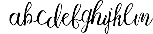 The Handlettered Font Collection 12 Font LOWERCASE