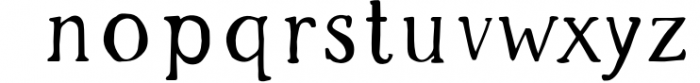 The Market Duo - Rustic Serif & Sans Font Combo Font LOWERCASE