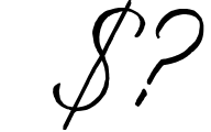 The Marydate - Organic Calligraphy Font OTHER CHARS