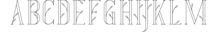 The Modern Vintage Font Collection 7 Font UPPERCASE