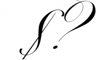 The Mozart Script 20 Font OTHER CHARS