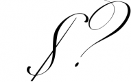 The Mozart Script 22 Font OTHER CHARS