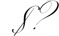 The Mozart Script 23 Font OTHER CHARS