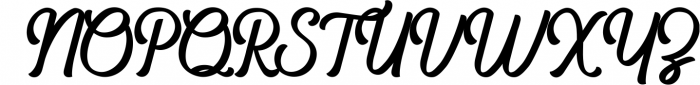 The Paiton -Modern Script Font Font UPPERCASE