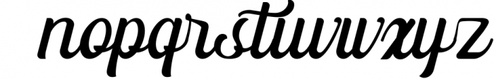 The Paiton -Modern Script Font Font LOWERCASE