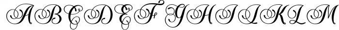 The Piraglen - Script Pro 2 Font UPPERCASE