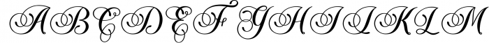 The Piraglen - Script Pro 3 Font UPPERCASE