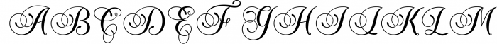 The Piraglen - Script Pro Font UPPERCASE