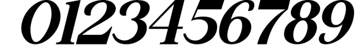 The Thesla Ohago - Luxury Serif Font 1 Font OTHER CHARS