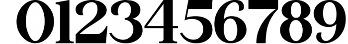 The Thesla Ohago - Luxury Serif Font Font OTHER CHARS