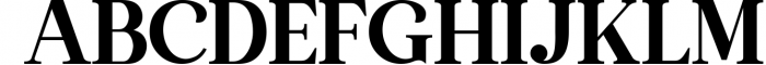 The Thesla Ohago - Luxury Serif Font Font UPPERCASE