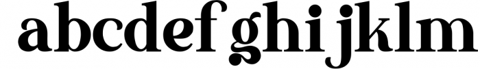The Thesla Ohago - Luxury Serif Font Font LOWERCASE