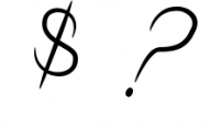 The Youther - Signature Font OTHER CHARS